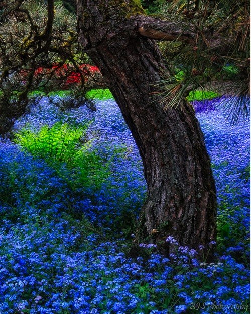 Алексей Мочалин | Балашиха