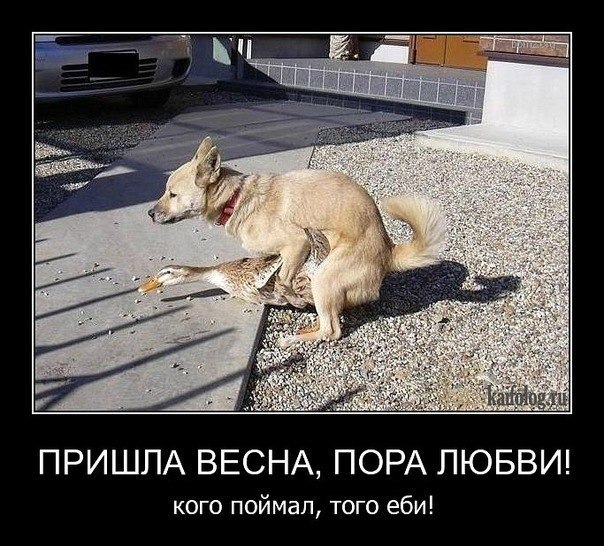 Елена Богданова | Москва