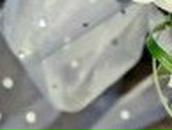 Ксюша Елецкая | Уссурийск