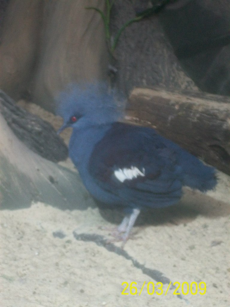 Ирина Токарева | Москва