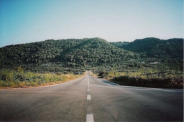 Алина Полыхаева | Днепр (Днепропетровск)