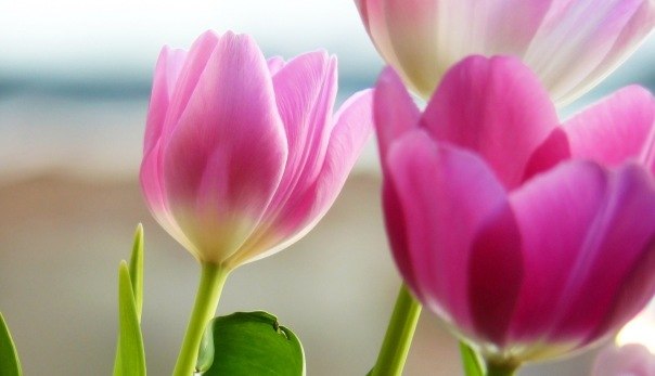 Gulnaz Gusamova | Казань