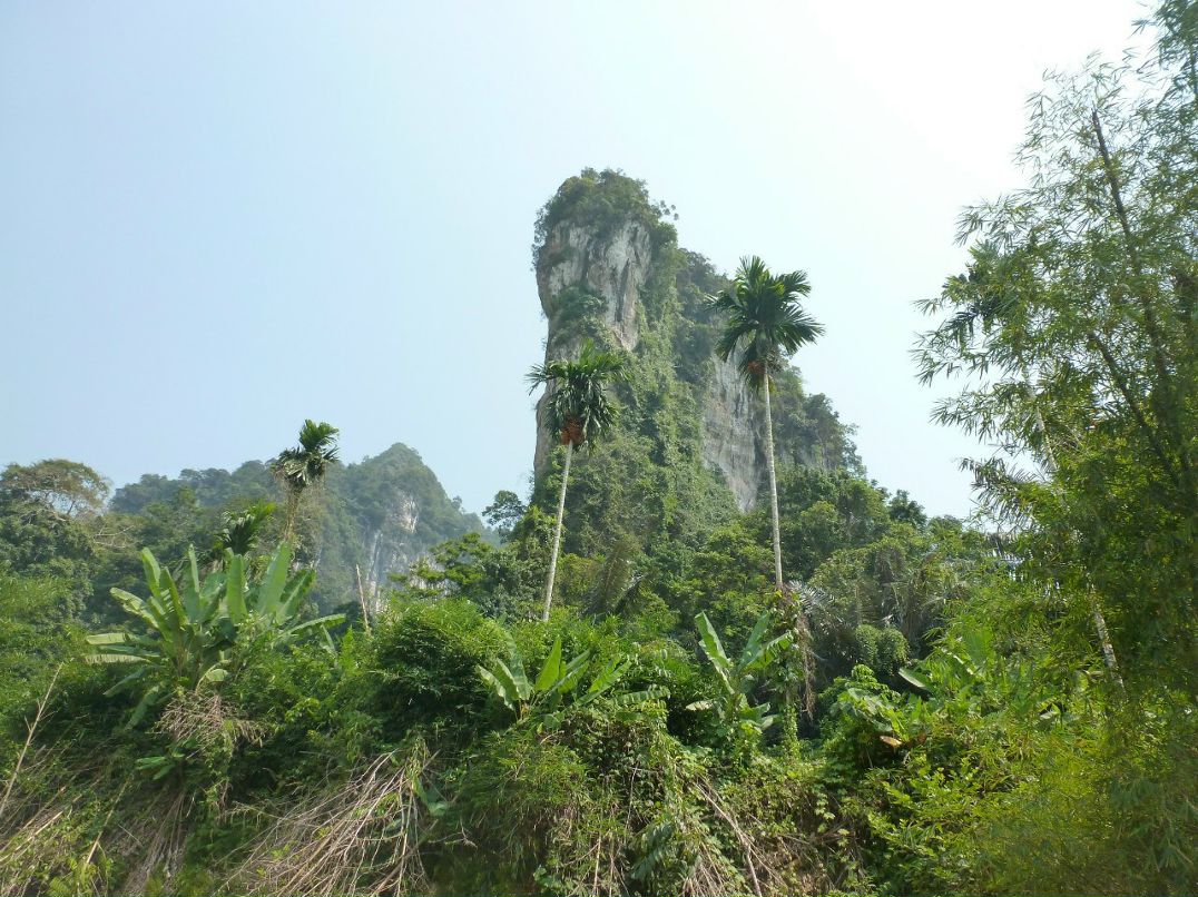 Яна Шехурина | Ярославль