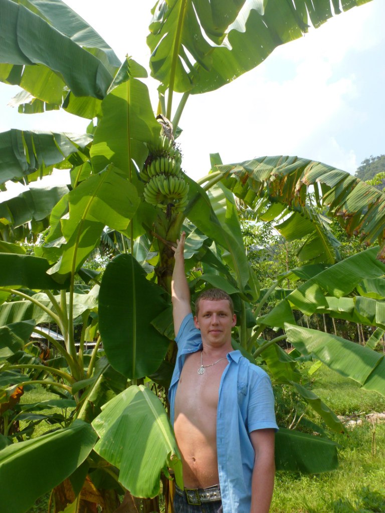 Яна Шехурина | Ярославль