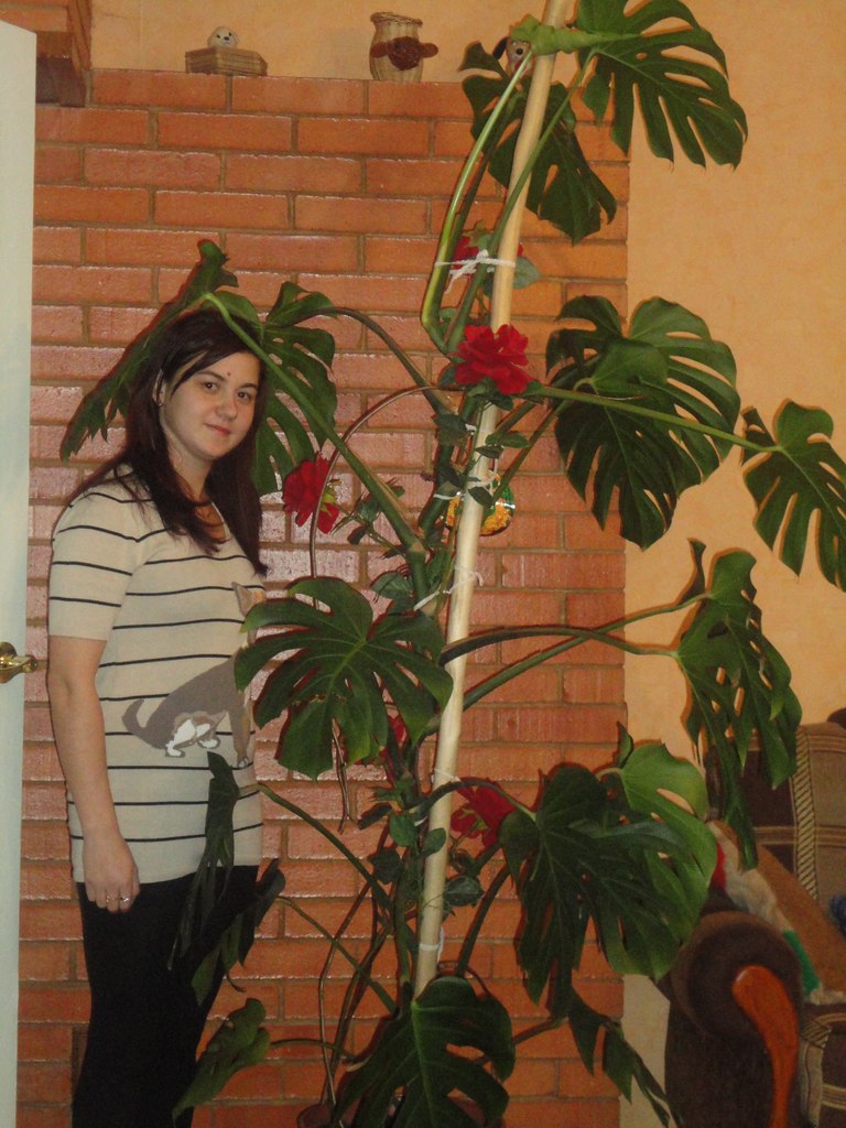 Юлия Матиевская | Санкт-Петербург