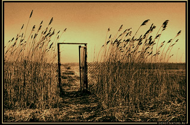 Yaroslav Troyan U.S.Y.A.26 | 