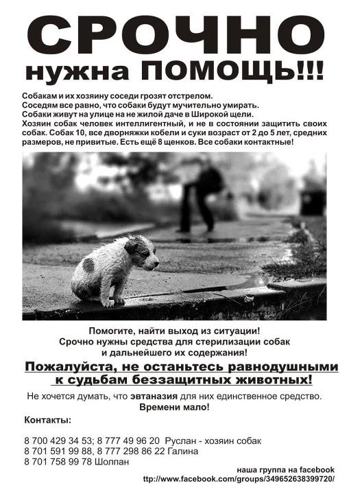 Анна Колесникова | Алматы