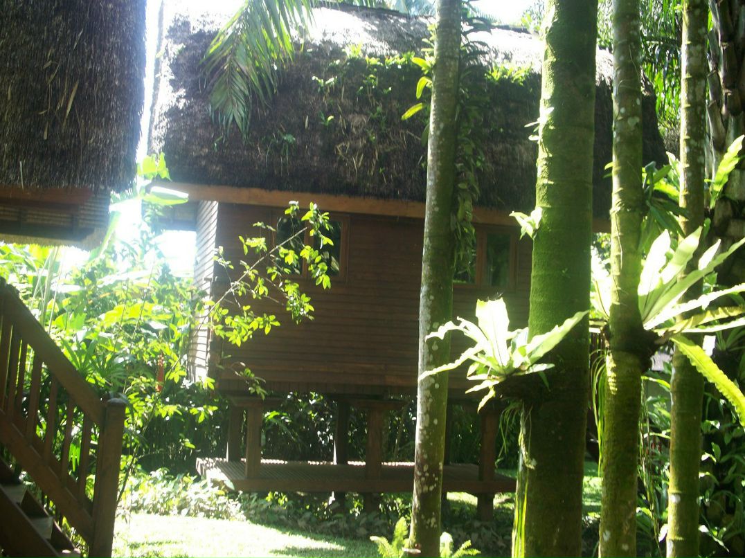 Татьяна Митичкина | Москва