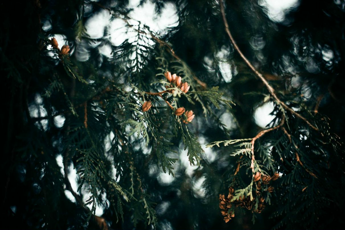 Яна Каковкина | Санкт-Петербург