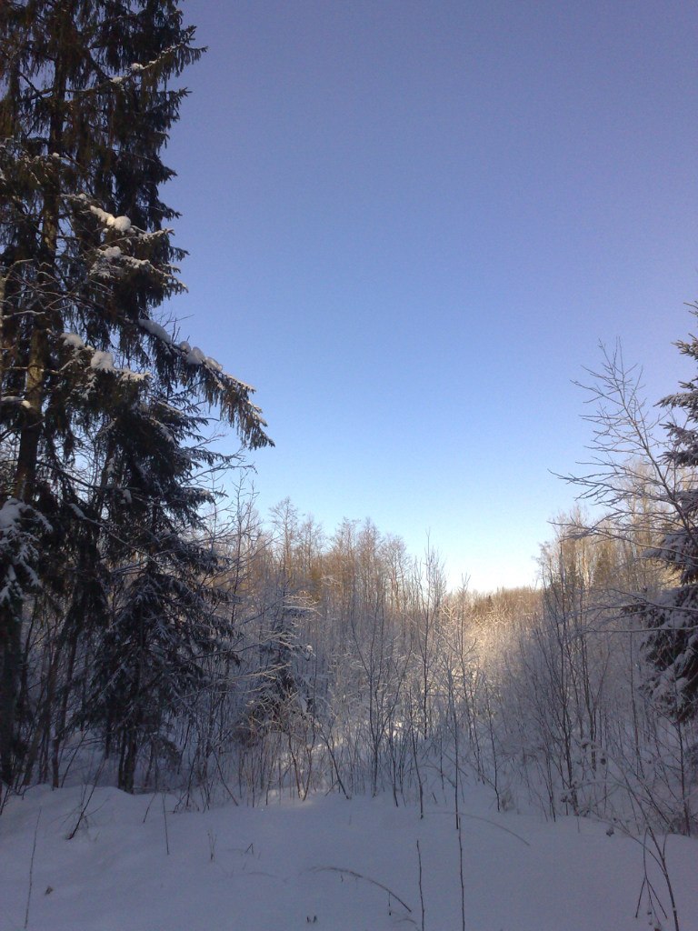 Антон Валетов | Санкт-Петербург