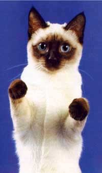 Марина Щедрая | Киев