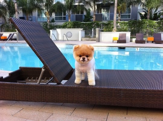 Алина Митина | Енакиево