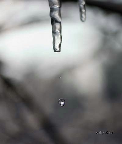 Анна Вохминова | Северодвинск