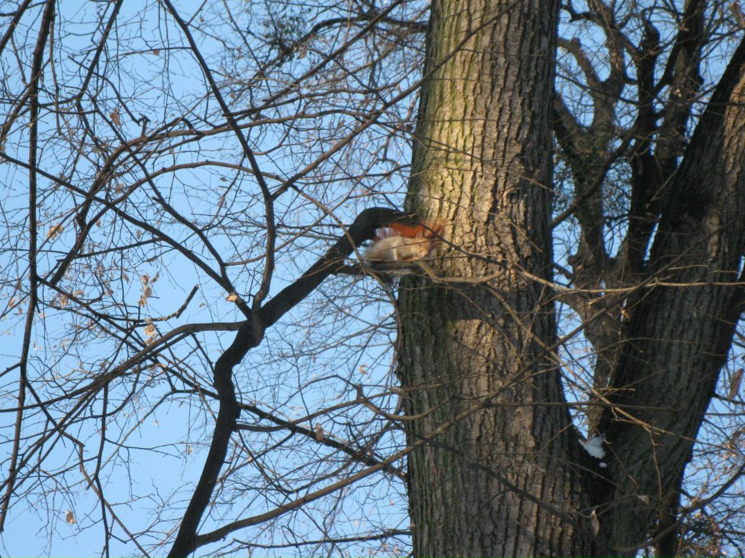 Макс Лукьяненко | Саратов