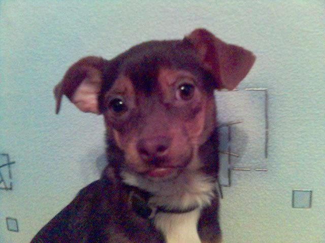 Лилия Алексеенко | Анапа