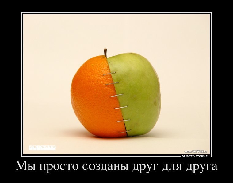 Максим Федотов | Москва