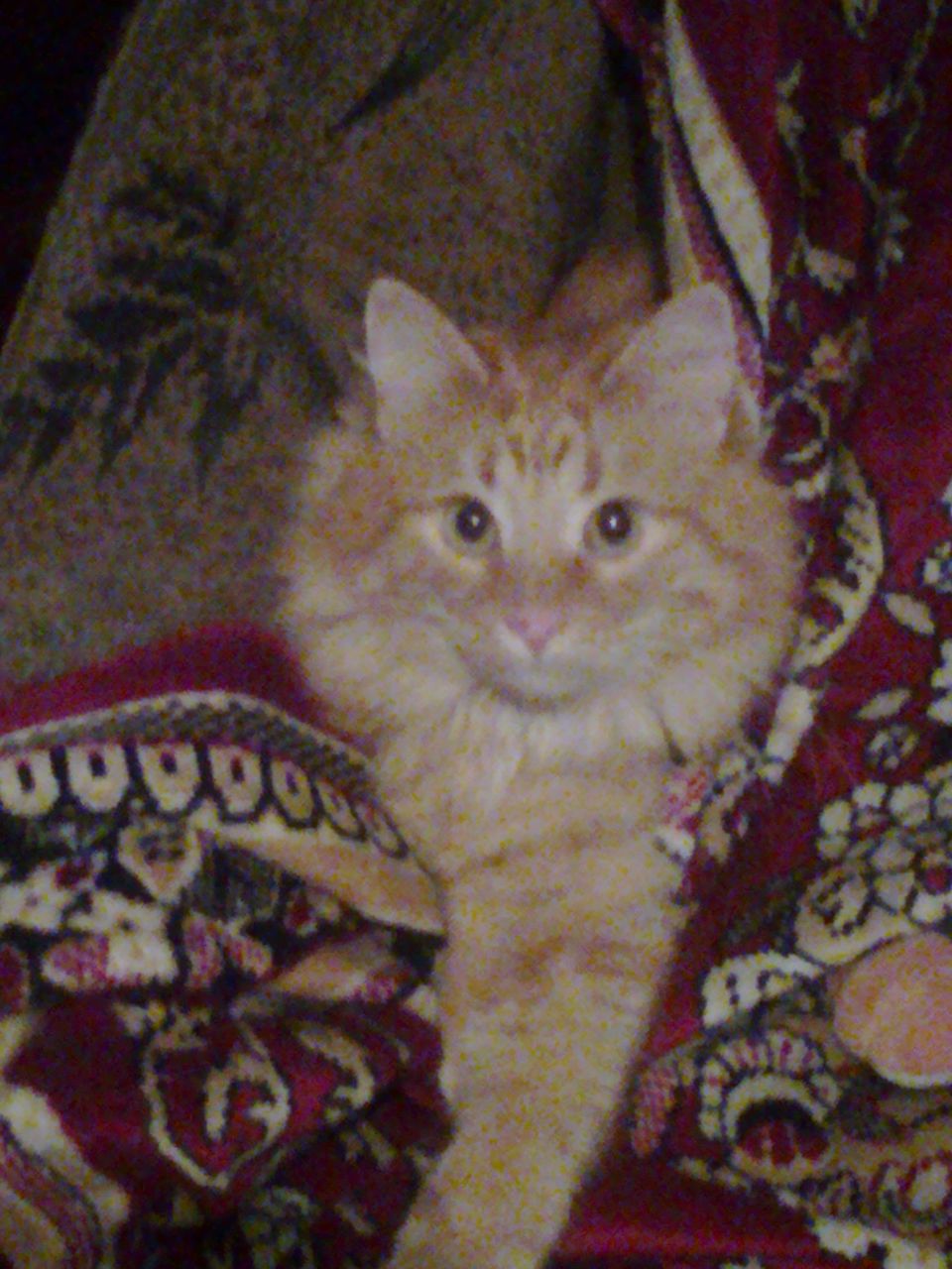 Юлия Прохорова | Москва