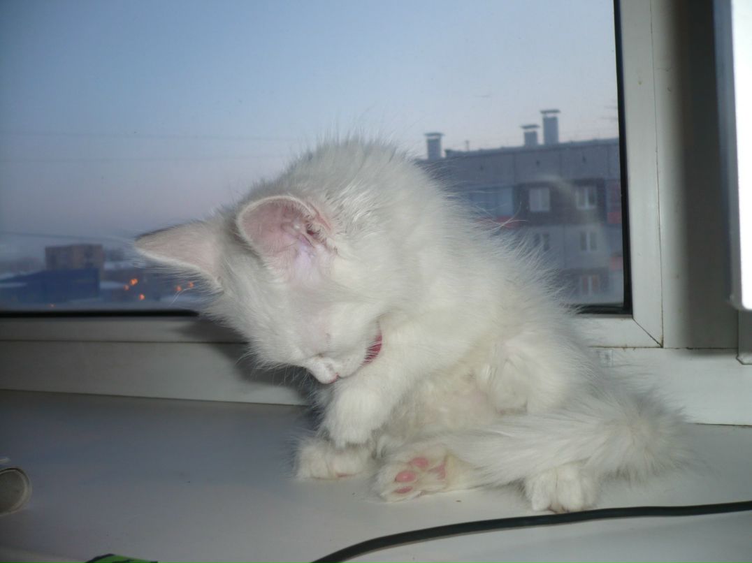 Максим Тюлюкин | Красноярск