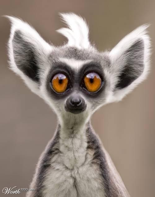 Саша Маркин -=Marik=- | 