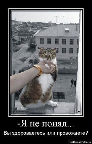 Алёна Замышляева | Луна