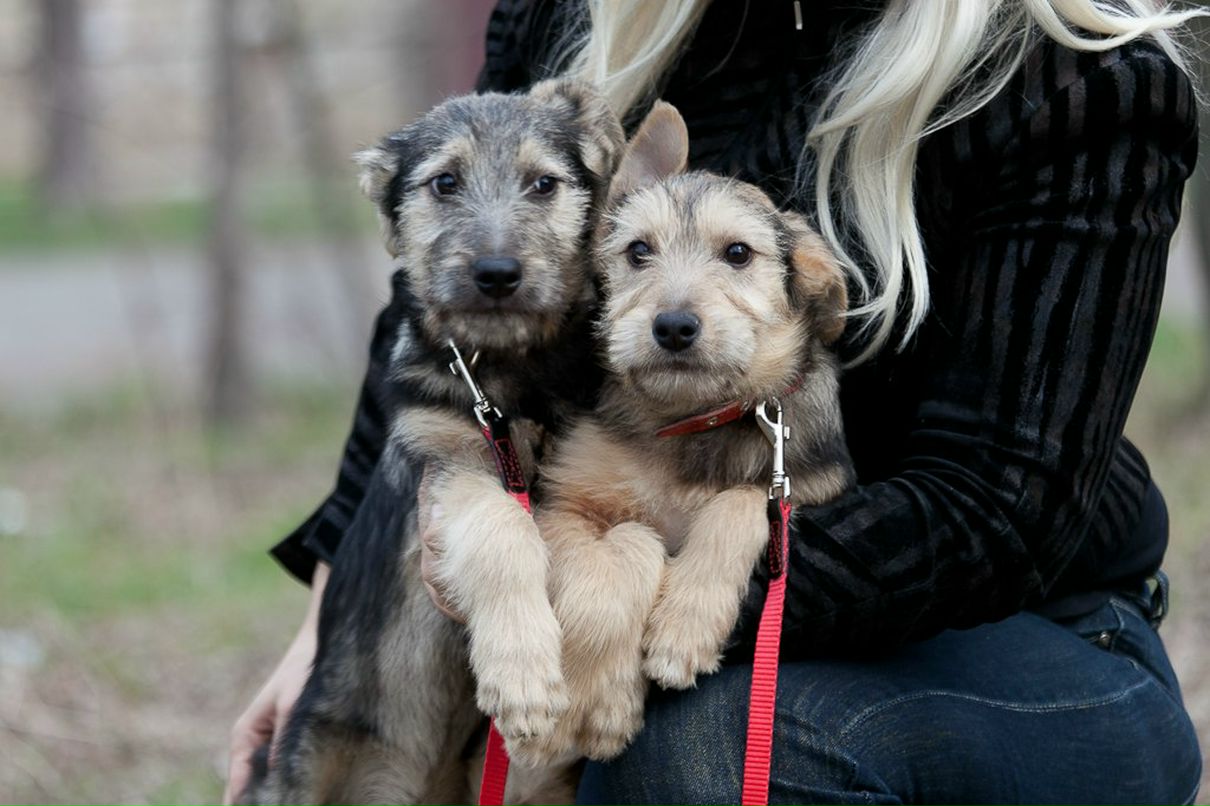 Татьяна Кривенко | Киев