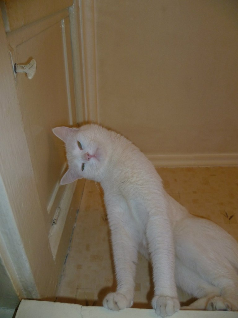 Анна Ярикова | Липецк