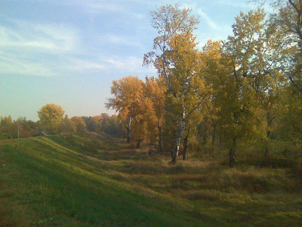 Stas Voznjyk | Чоп