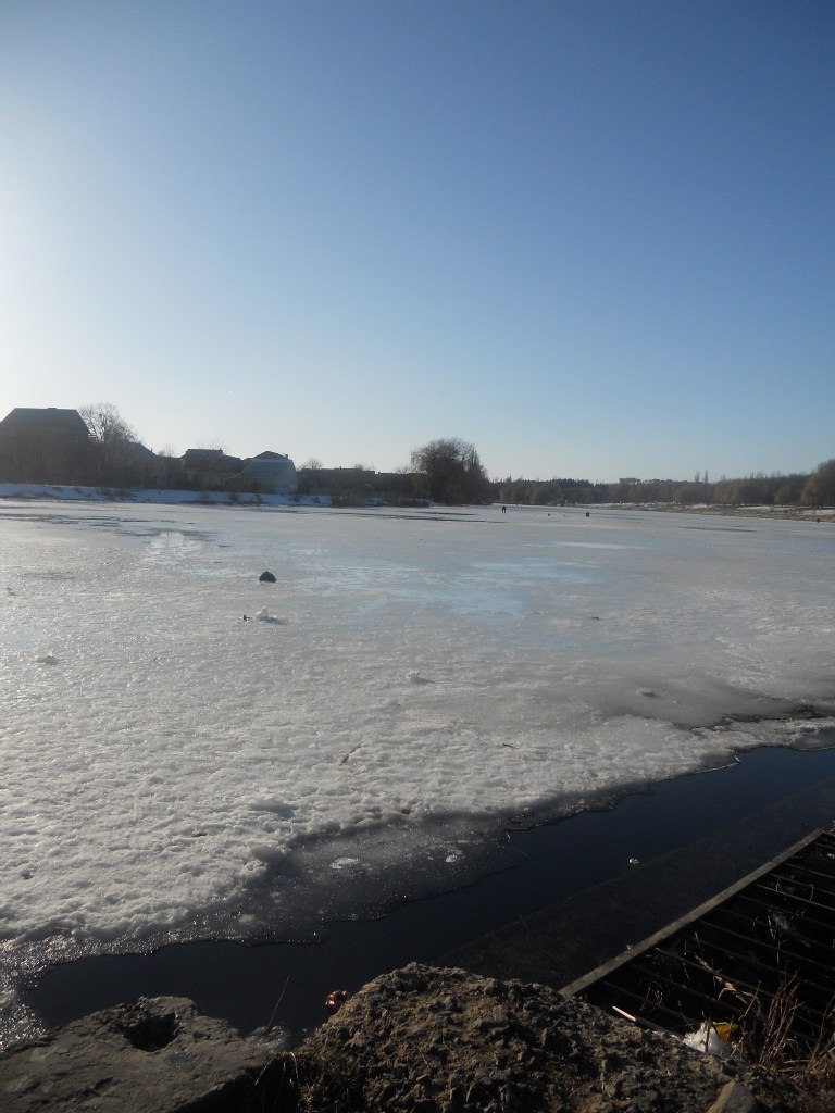 Сергей Полищук | Винница