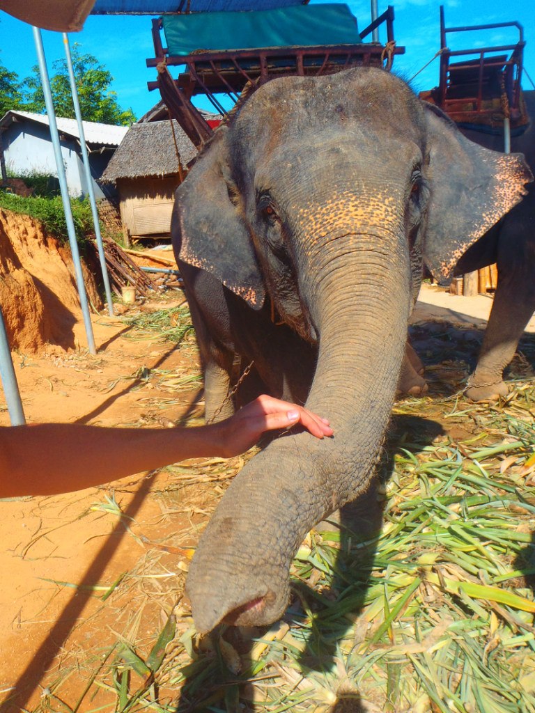 Mynameis Vadim ๑۩۩๑ | Москва