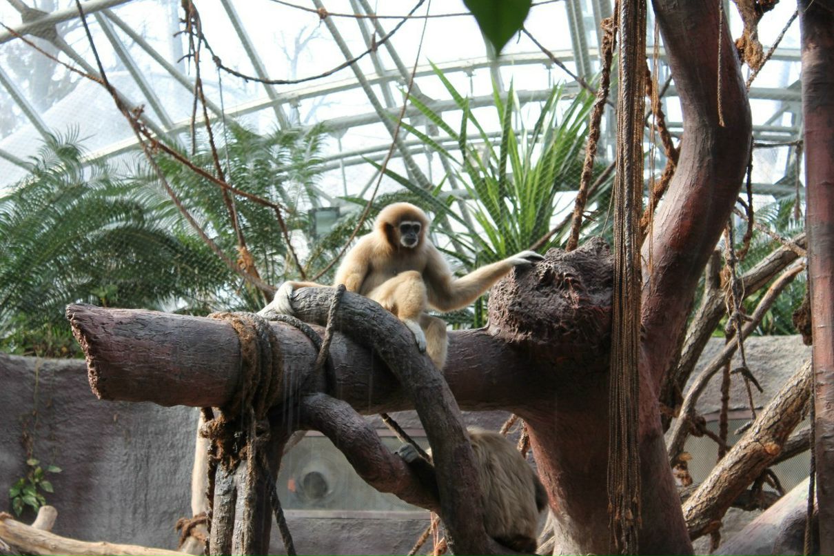 Юлия Урба | Stavanger