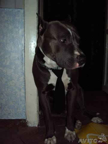 №79, Алексей Букалов №79, Алексей Букалов