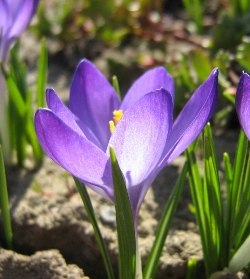 Алёна Смирнова | Санкт-Петербург