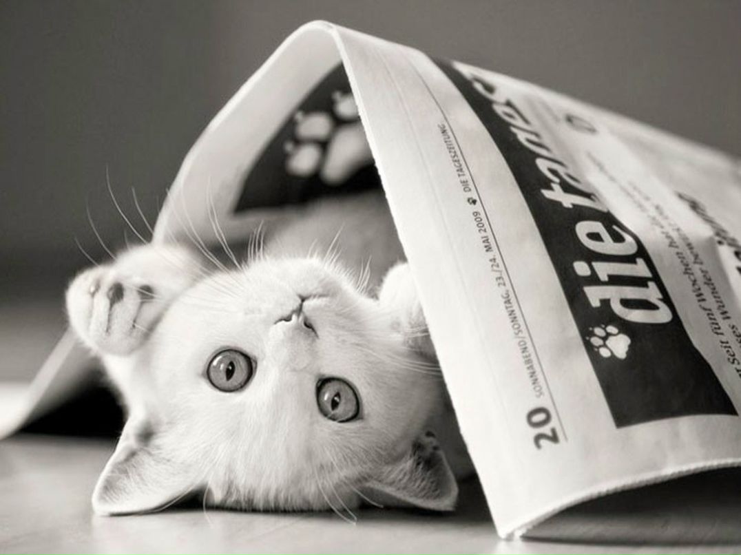 Максим Яушкин | Запорожье