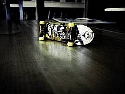 №12, Игорь Гребенщиков №12, Игорь Гребенщиков