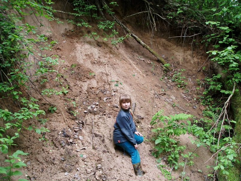 №4, Лиза Мельникова №4, Лиза Мельникова