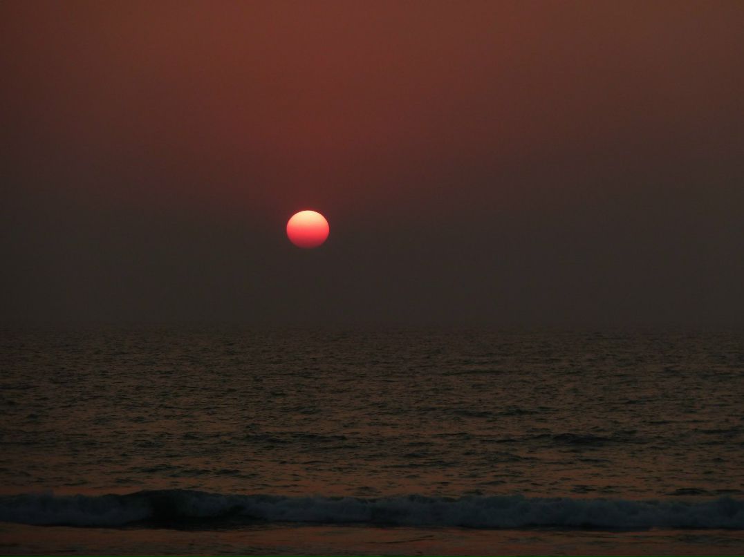 Анна Чесанова | Санкт-Петербург