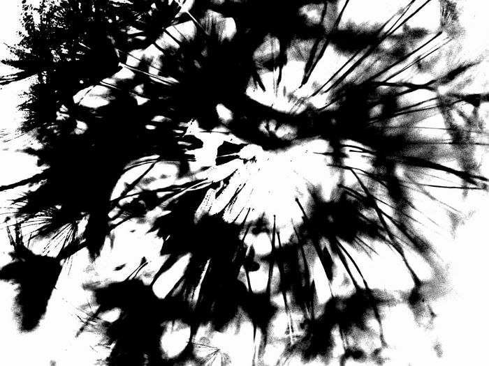 Игорь Полищук Ник | Алексин