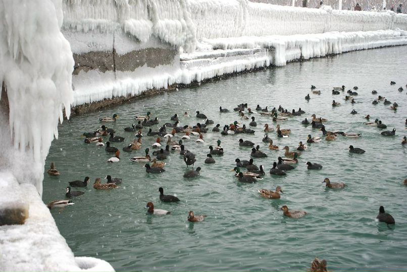 Андрей Макеев *drue* | Краснодар