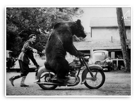 Максим Калугин | Киев