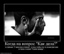 Фотография Алана Бестаева