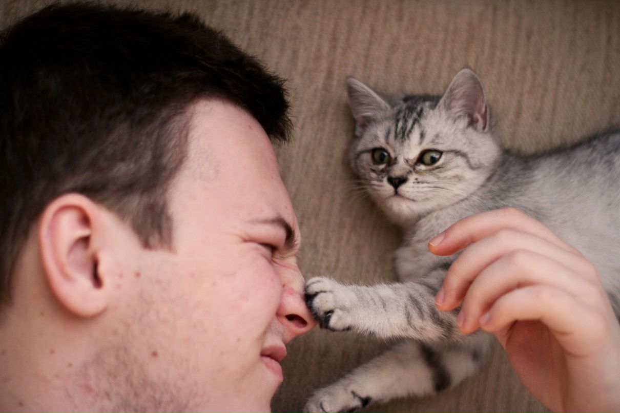 Антон Абрезов | Санкт-Петербург