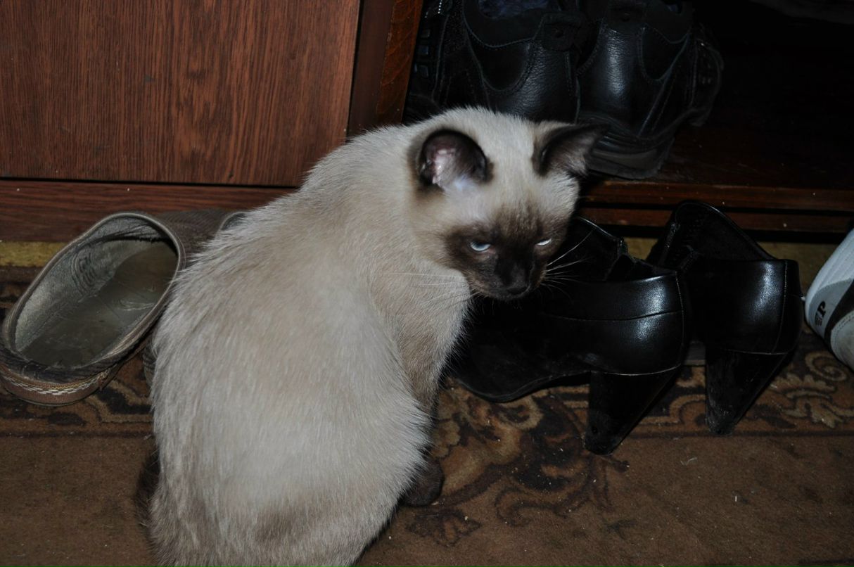 Оксана Дубанова | Москва