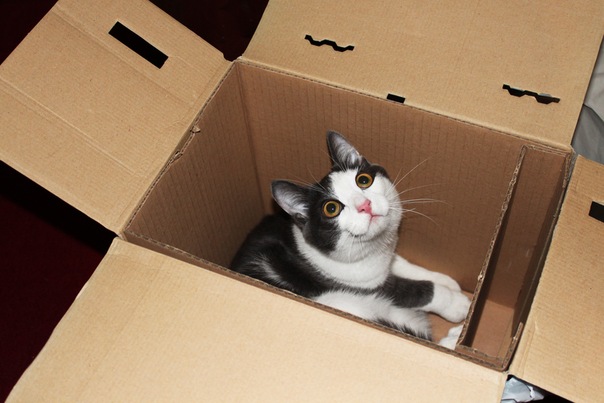 №106, Марина Андрейченко-Яцук, Los Angeles №106, Марина Андрейченко-Яцук, Los Angeles