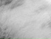 Катерина Котик | Минск