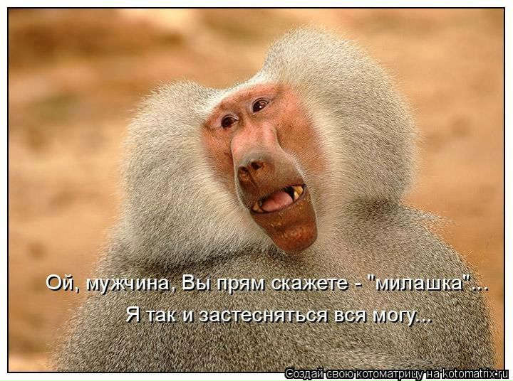 №87, Людмила Романова, Петрозаводск №87, Людмила Романова, Петрозаводск