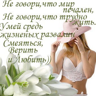 №6, Алина Фиялка, Полтава №6, Алина Фиялка, Полтава