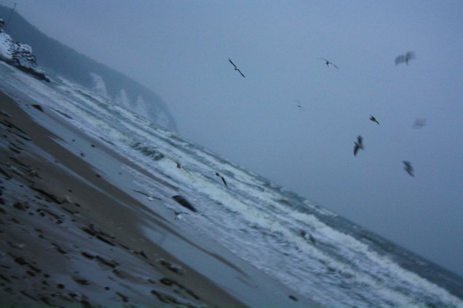 №37, Никита Соболь №37, Никита Соболь