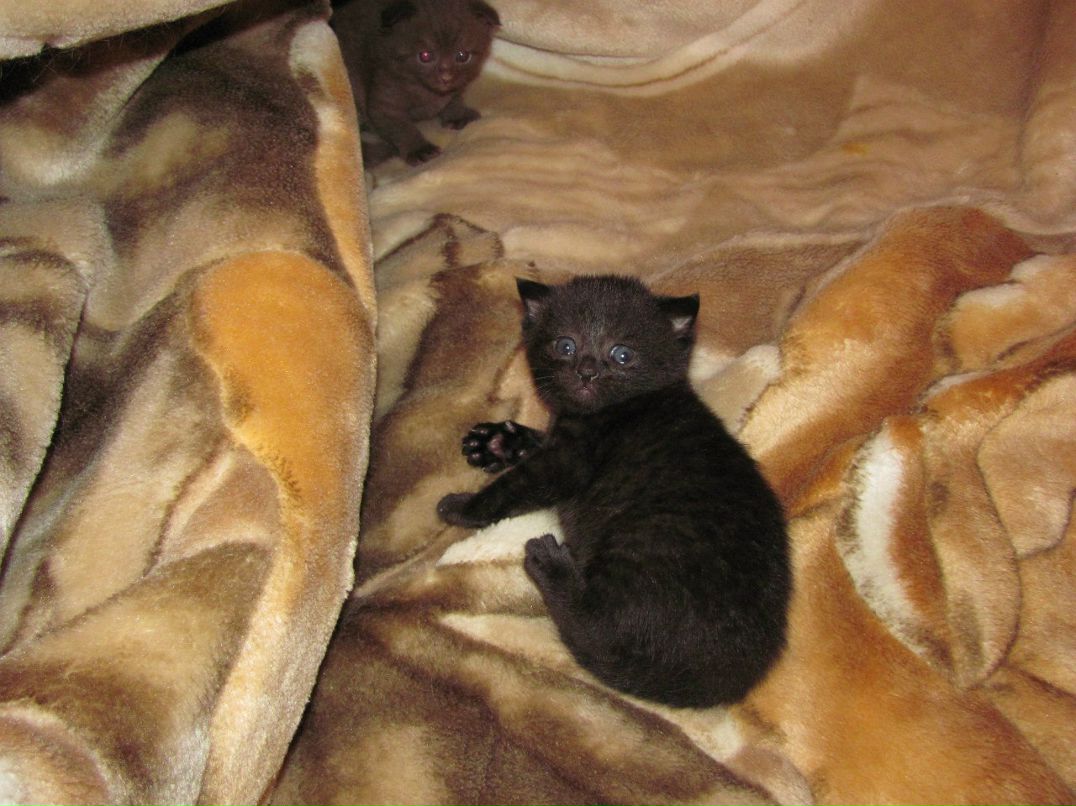 Танюша Таже vSe | Кривой Рог