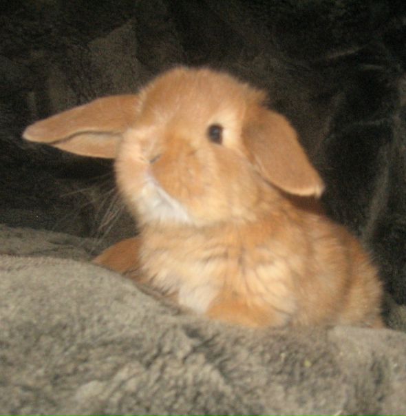 №79, Анна Харламова, Санкт-Петербург №79, Анна Харламова, Санкт-Петербург