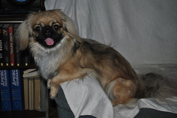 Юлия Карчемская | Киев